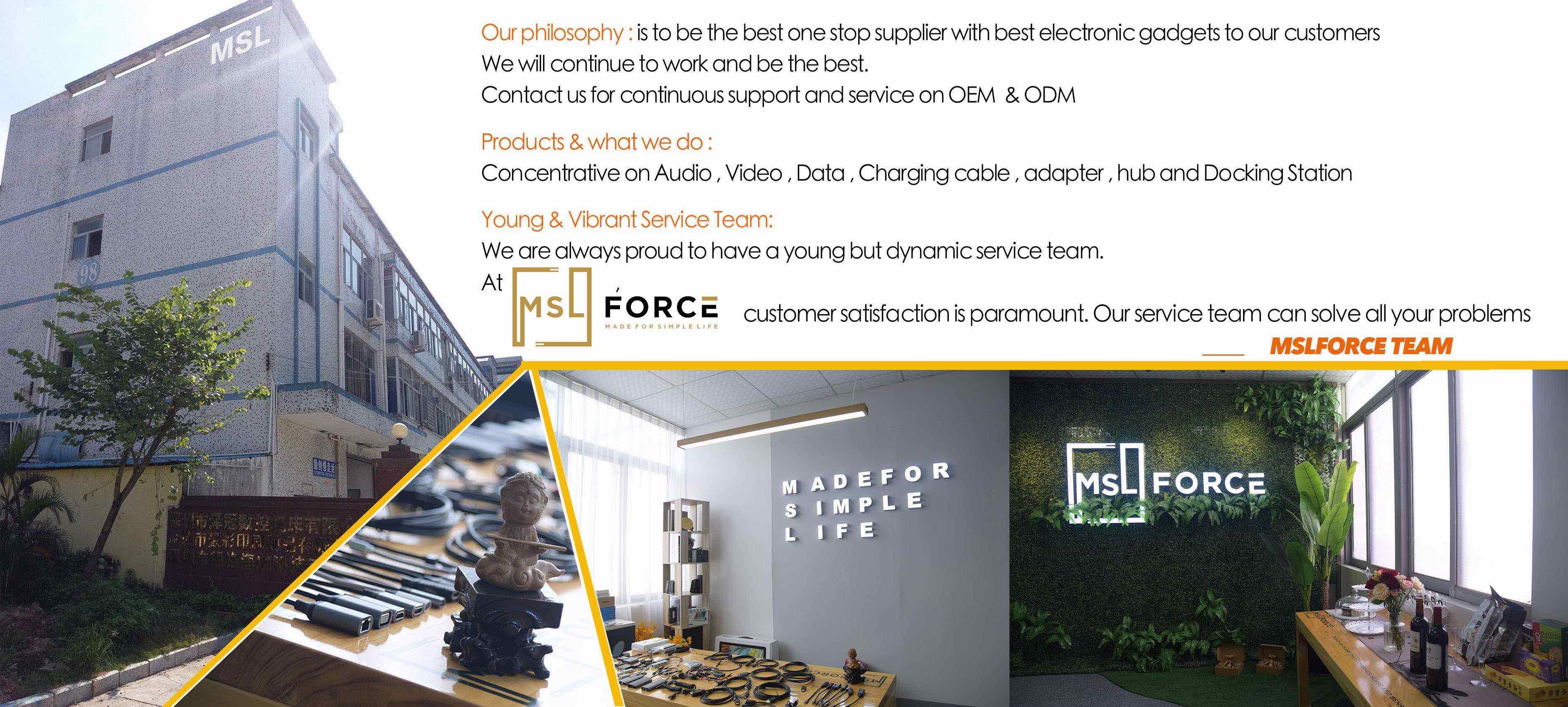 MSL-Профиль1