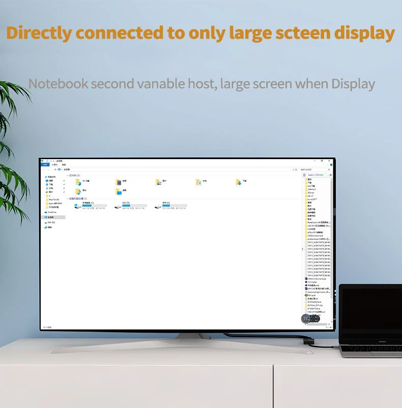 DVI projector